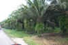 PerezZeledonCRToDavidPanama 123.jpg (923345 bytes)