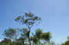 DavidToPanamaCity 030.jpg (685537 bytes)