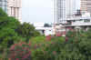Panama City to Bogota 028.jpg (558993 bytes)