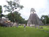 Tikal 039.jpg (1042765 bytes)