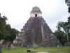 Tikal 044.jpg (866790 bytes)