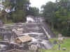 Tikal 047.jpg (1270234 bytes)