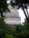Tikal 062.jpg (1082543 bytes)