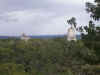 Tikal 080.jpg (818294 bytes)