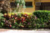 PuntarenasToPerezZeledonCR 078.jpg (1395723 bytes)